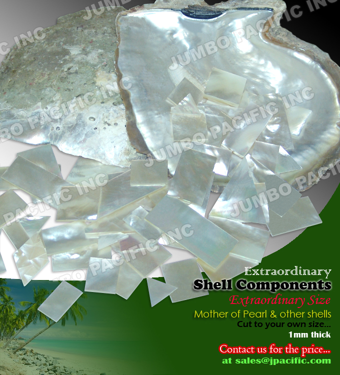  Shell Components