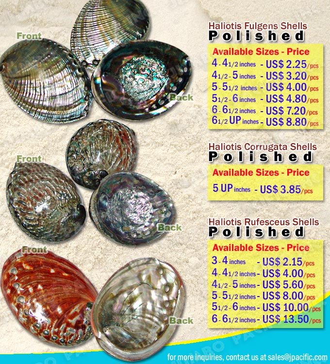 Haliotis Fulgens Shells Polished, Haliotis Corrugata Shells Polished, Haliotis Rufescens Shells Polished, Haliotis Rufesceus Shells Polished Haliotis Fulgens Shells Polished, Haliotis Corrugata Shells Polished, Haliotis Rufescens Shells Polished, Haliotis Rufesceus Shells Polished, Specimen Shells, Polished Shell, Pearlized Shell,